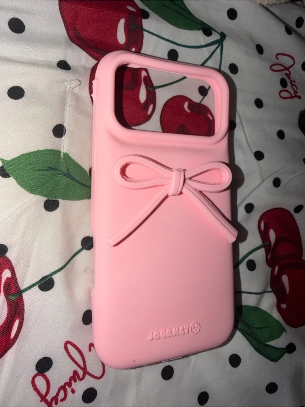 iPhone 17 Pro Max Case